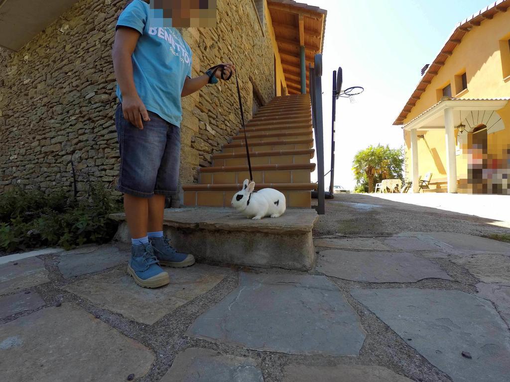 Casa Rural Graeras En Castigaleu エクステリア 写真